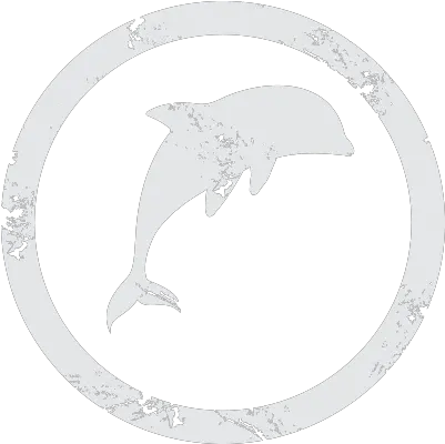  Icon Fish Png Dolphin Icon