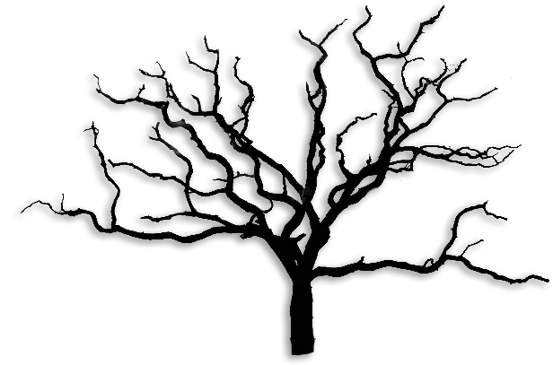  Arbre Sans Feuille Png Images Black And White Dead Trees Sans Png