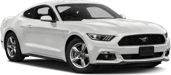  Ford Mustang Png 3 Image New White Mustang Mustang Png