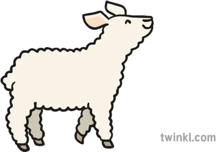  Little Lamb Illustration Twinkl Little Billy Goat Gruff Png Lamb Png