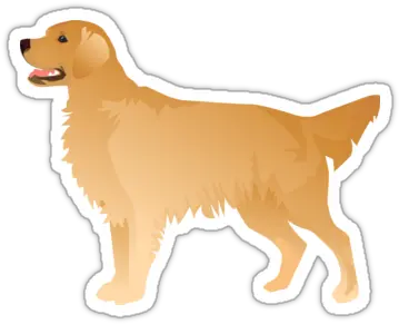  Golden Retriever Basic Breed Silhouette Dog Stickers Golden Retriever Png Golden Retriever Transparent