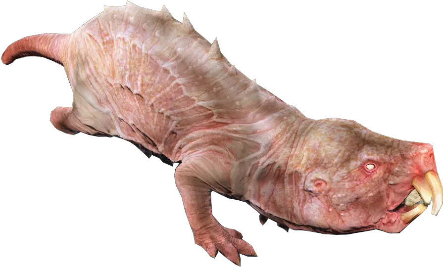  Mole Rat Fallout 76 Wiki Fandom Naked Mole Rat Png Rat Transparent Background