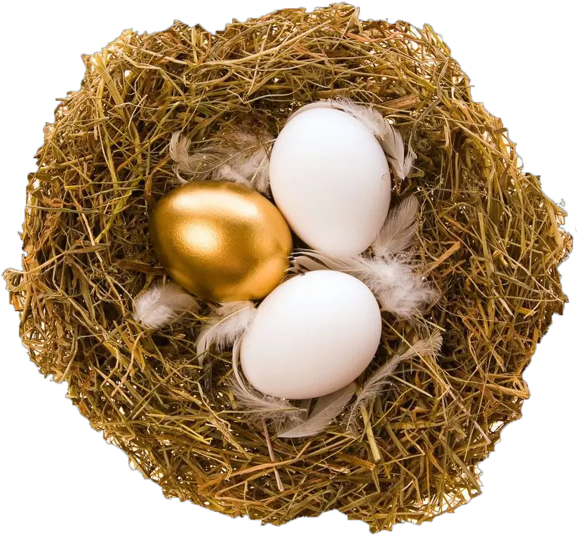  Download Quail Bird Nest Egg Golden Egg Necklace Paskalya Altn Yumurta Png Bird Nest Png