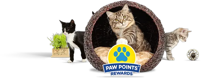  Paw Points Free Cat Rewards Litter Fresh Step Adoption Png Cat Paw Png