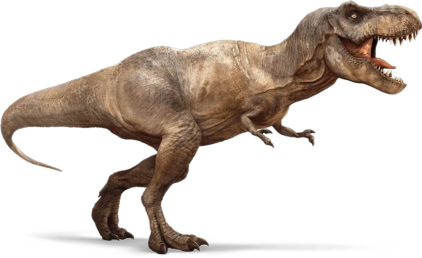  Download Free Png Image Trex 2png Jurassic Park Wiki T Rex Dinosaur Png