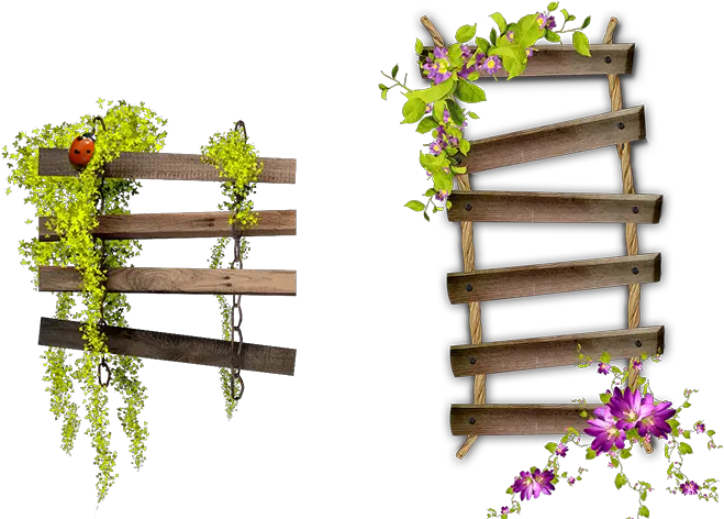  Download Flower Garden Hour Spooky Frame Bench Ladder Hq Png Ladder Ladder Png