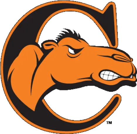  Fighting Campbell Fighting Camels Logo Png Camel Logo