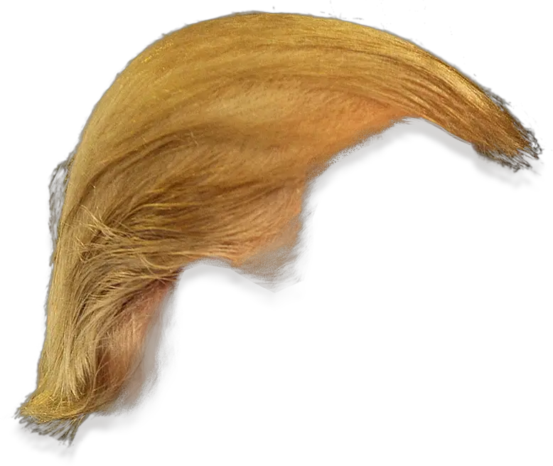  Trump Hair Png Hd Pictures Vhvrs Donald Trump Hair Only Trump Png