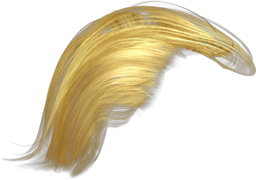  Donald Trump Hair Png Transparent Donald Trump Hair Transparent Background Donald Trump Hair Png