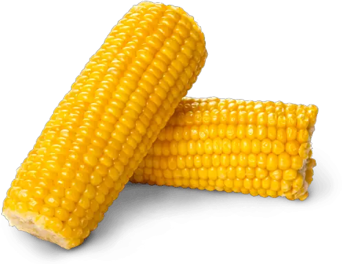  Corn Png Background Image Corn Png Corn Transparent Background