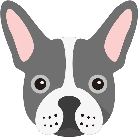  Personalized French Bulldog Bandanas Yappycom Boston Terrier Png Bull Dog Icon