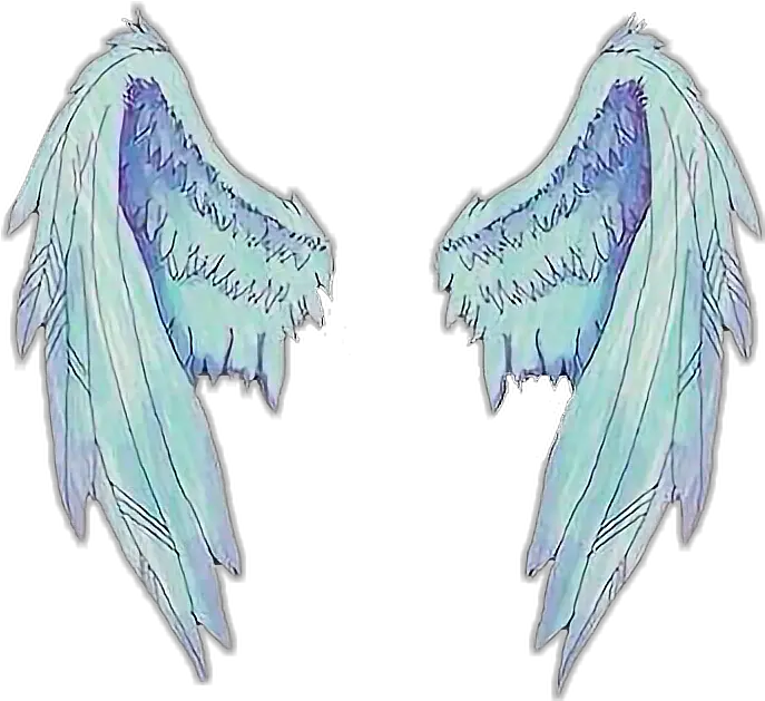  Transparent Dividers Tumblr Blue Transparent Background Angel Wings Png Tumblr Transparents Blue