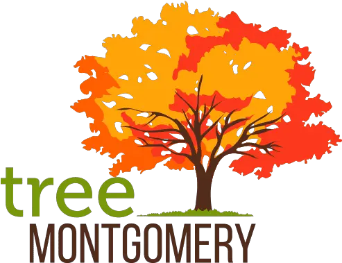  Tree Montgomery Tree Montgomery Png Simple Tree Icon