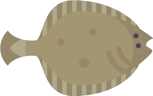  Flounder Fish Png Icon Sole Flounder Png