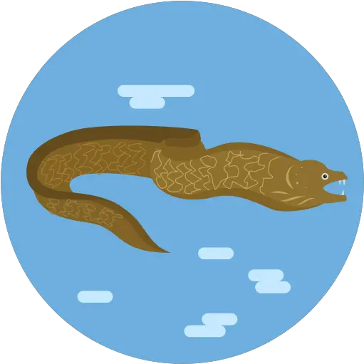  Sea Animal Eel Fish Eels Free Icon Fontana Del Nettuno Png Sea Serpent Icon