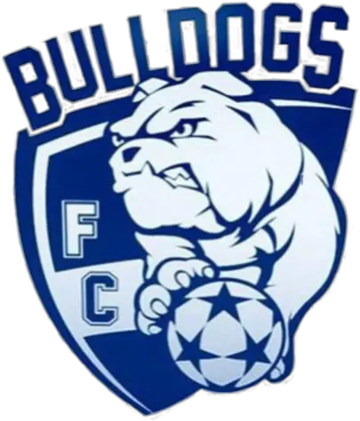  Intro West York Bulldogs Fc West York Bulldogs Png Bulldog Png