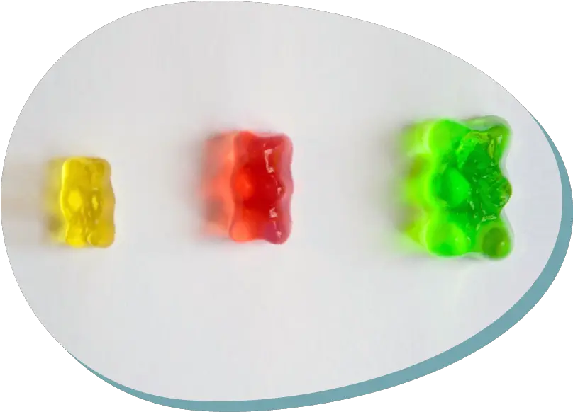  Growing A Gummy Bear Expérience Enfant Png Gummy Bear Logo