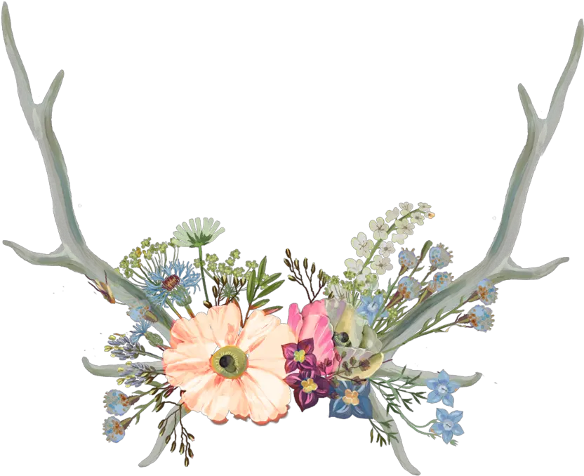  Aesthetic Flower Crown Png Flower Crown With Antlers Antler Png