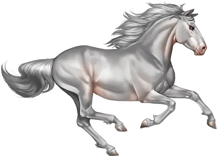  Index Of Running White Horse Png Horses Png