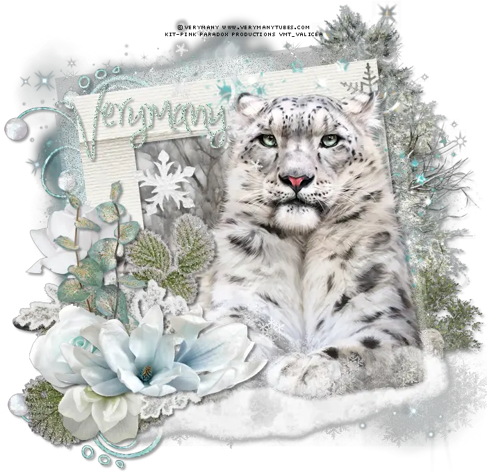  Download Snow Leopard By Verymany Found Snow Leopard Png Snow Leopard Png