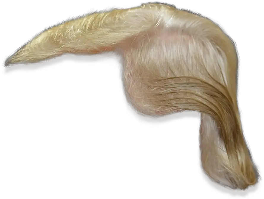  Donald Trump Hair Png Transparent 3 Trump Wig Png Transparent Donald Trump Hair Png