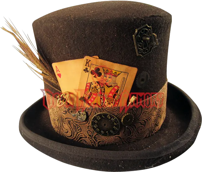  Library Of Top Hat Money Graphic Steampunk Top Hat Png Mad Hatter Hat Png