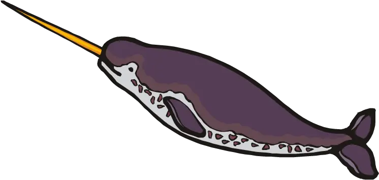  Narwhal Clipart Narwhal Clipart Png Narwhal Png