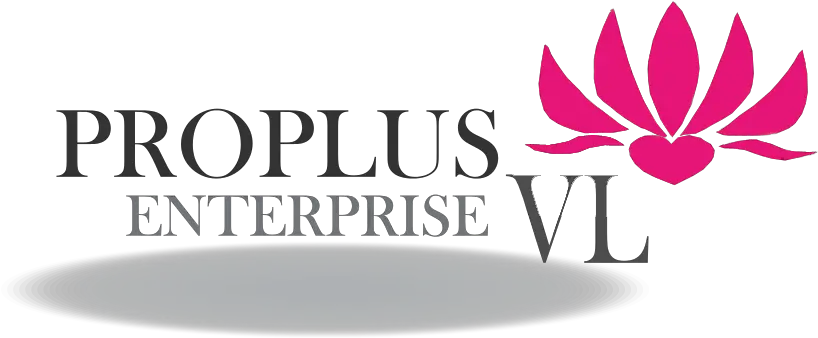  Proplusvl Graphic Design Png Vl Logo