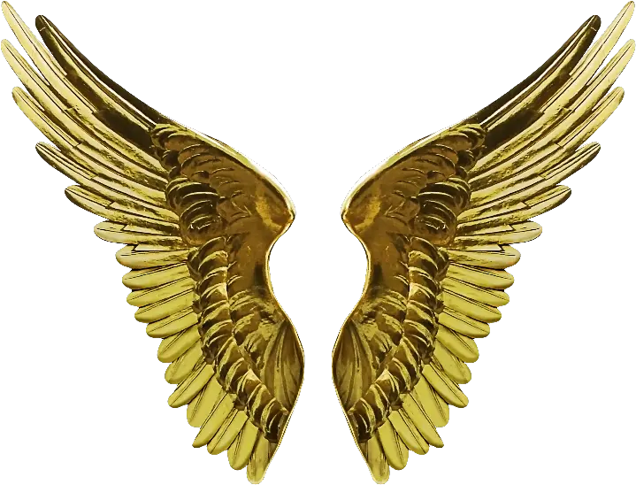  Angel Wings Transparent Png Gold Angel Wings Png Angel Halo Transparent Background