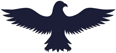  Pin Automotive Decal Png Eagle Silhouette Png