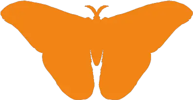  Residential Pest Control London Network For Solutions Png Moth Icon