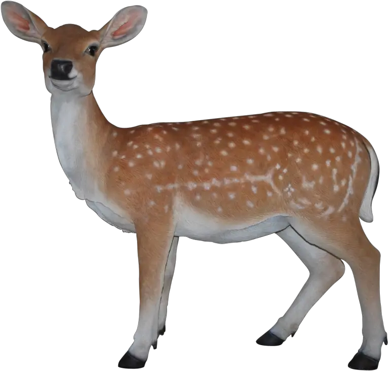  Deer Transparent Deer Clipart Png Deer Transparent