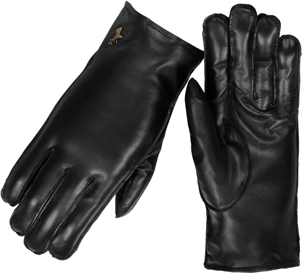  Gloves Freepngtransparentbackgroundimagesfreedownload Leather Png Ivy Png