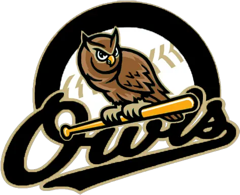  Team Home Windsor C Forest City Owls Png Owl Logo