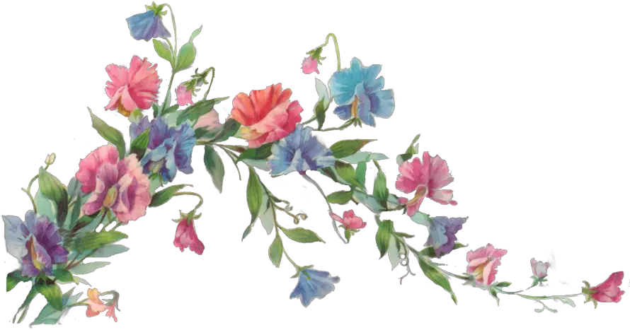  Floral Transparent Png Clipart Vectors Vine With Flowers Painting Floral Transparent