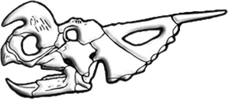  Fileeiniosaurus Skull Diagrampng Wikimedia Commons Sketch Skull Drawing Png