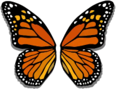  Download Free Png Butterfly Wings Cute Cartoon Butterfly Wings Butterfly Wing Png