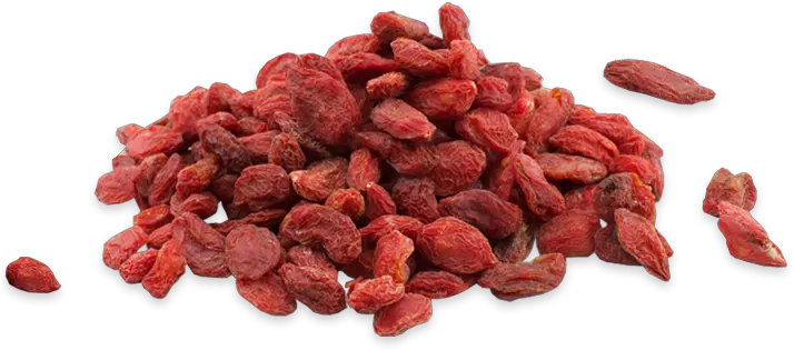  Wholesale Goji Berries For Trade Orders Supernutrients Food Png Berry Png