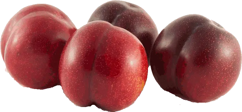  Sour Plum Png Image Red Plum Png Free Plum Png