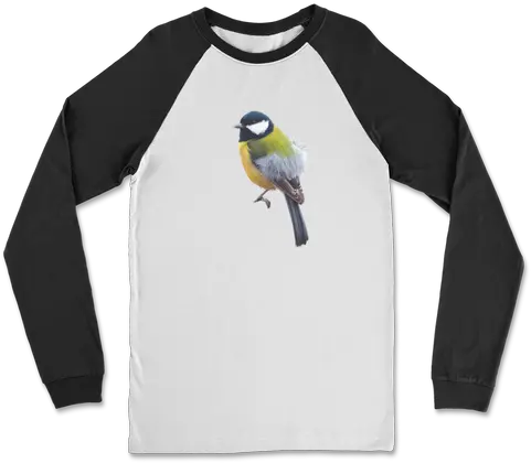  Great Tit Png Icon