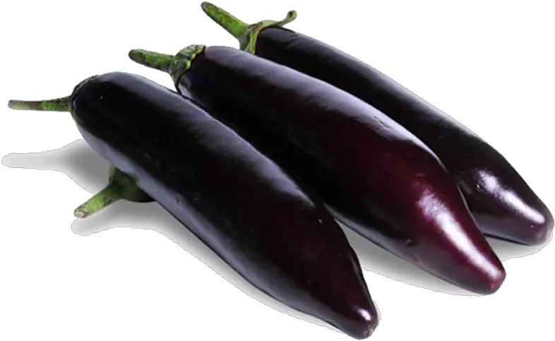  Talya Fresh Pala Eggplant Patlican Kemer Png Eggplant Transparent