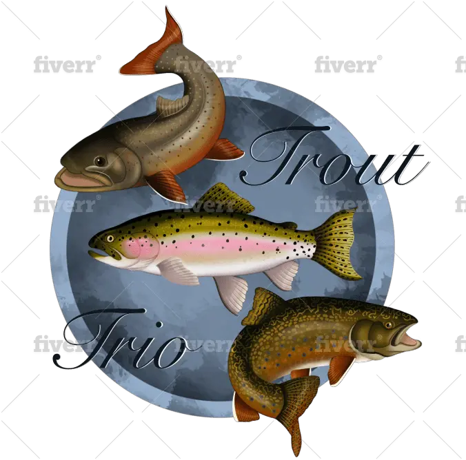  Draw You A Fish Logo Design By Nafeysart Coastal Cutthroat Trout Png Fish Logo