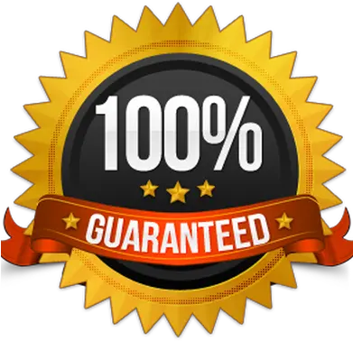  100 Guarantee Logo Png Minority Owned Business Png Guarantee Png