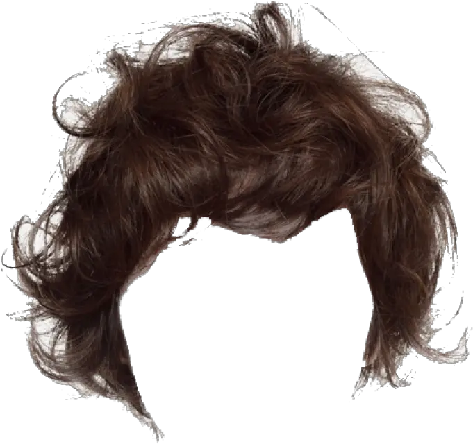  Hair Png Image Long Hair Transparent Man Brown Hair Png