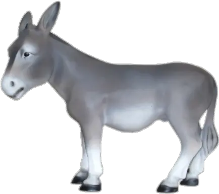  Donkey Burro Png Donkey Transparent