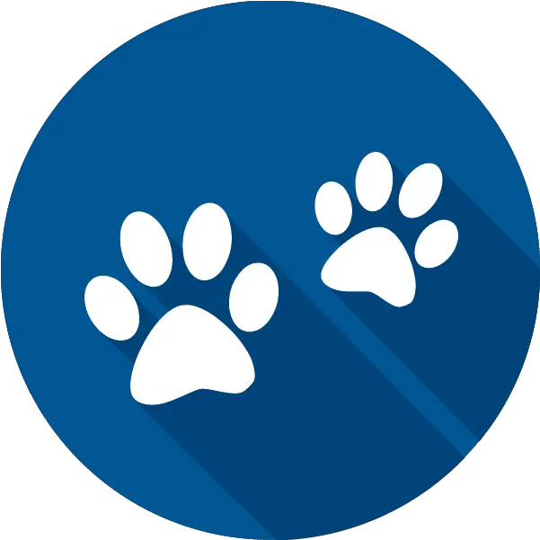  Travel Info Manage Faqs Route Map Allegiant Pet Logo Png Link Pet Friendly Icon