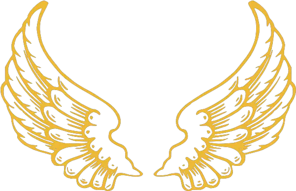  Gold Wings Clipart Gold Wings Vector Png Wing Png