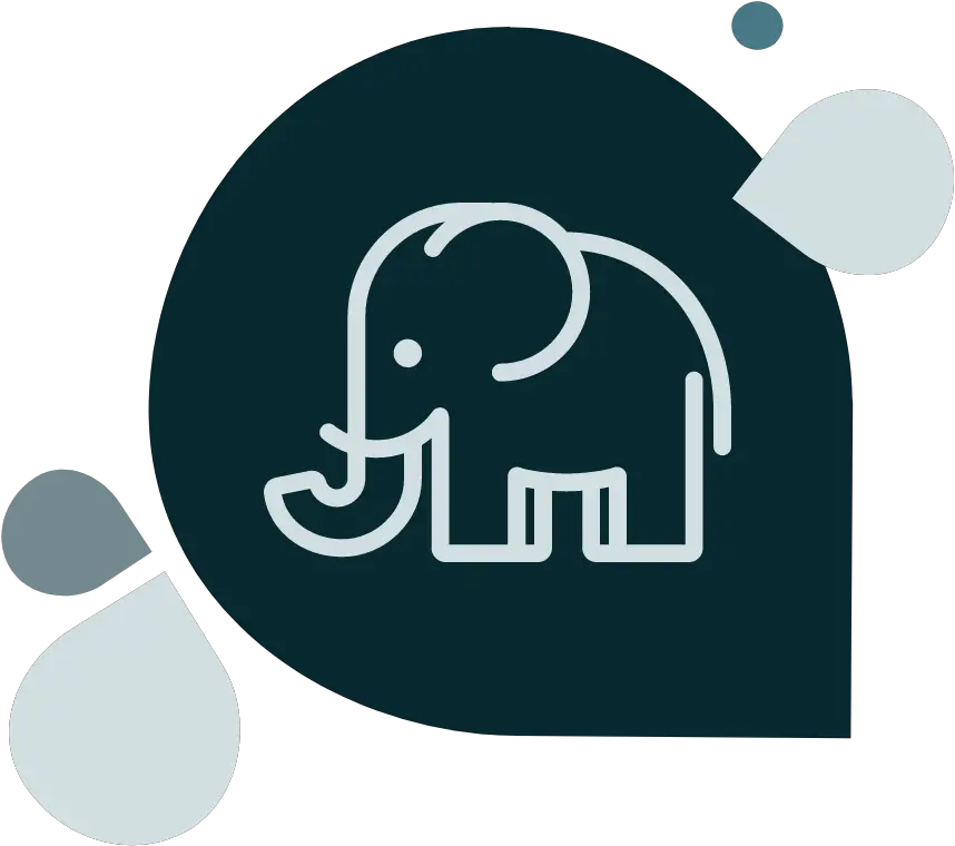  Cheetah Digital For Finserv Marketers Logo Consulta Provinciale Catania Png Elephant Tusk Icon