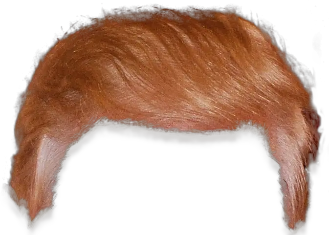  Png Trump Hair Transparent Trump Head Transparent Background