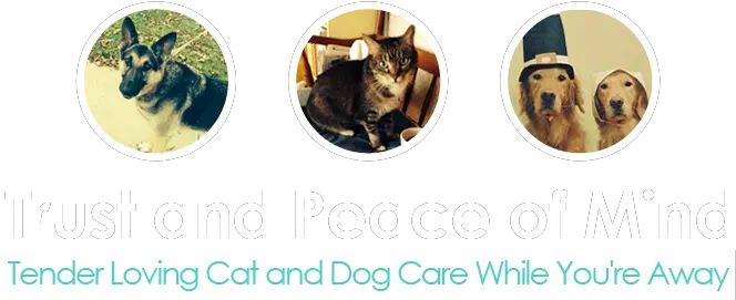  Paws U0026 Claws Superb Pet Care Edison Nj Dog Png Cat Icon For Facebook